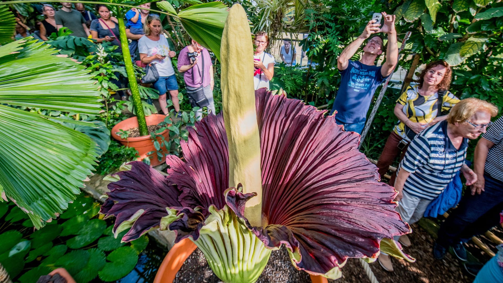 imago200983528 imago200983528