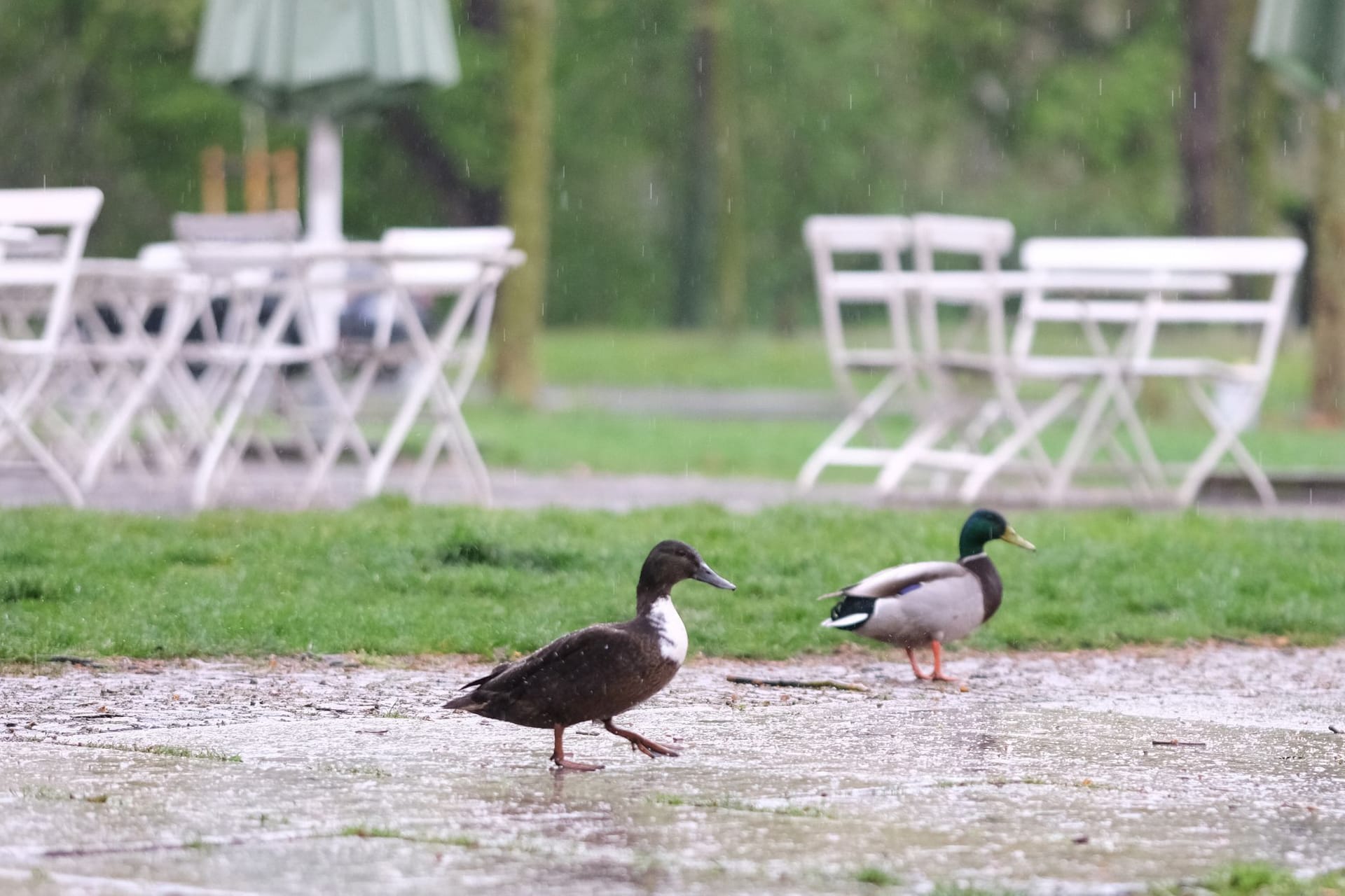Regen in Leipzig