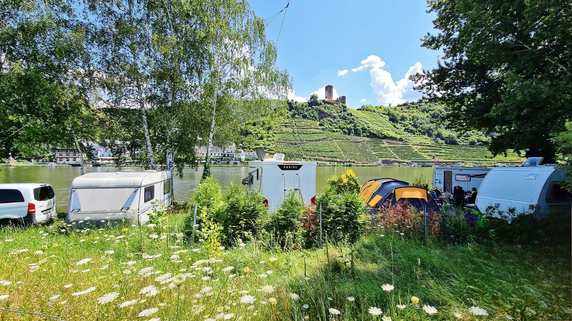 Mit Blick auf einen Weinberg: Der Campingplatz in Ellenz-Poltersdorf (Rheinland-Pfalz).
