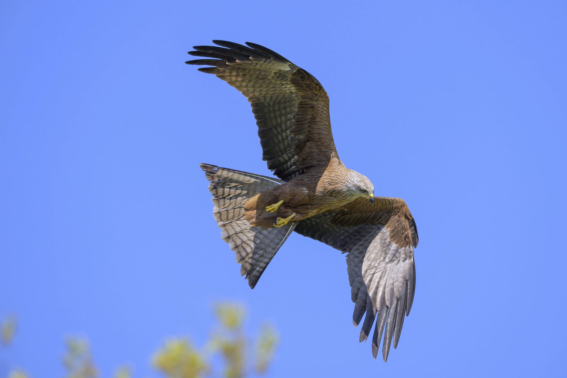 imago images 0814997881