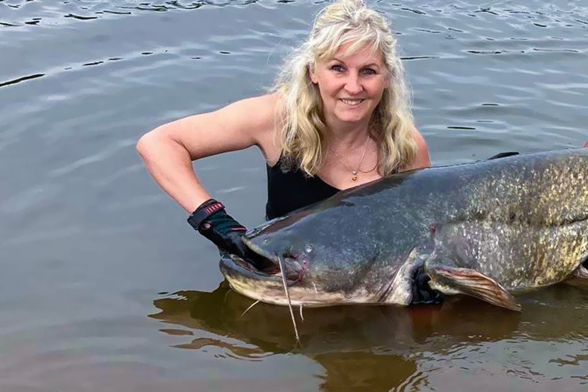 Dicker Fisch: 2,13 Meter großen Wels gefangen