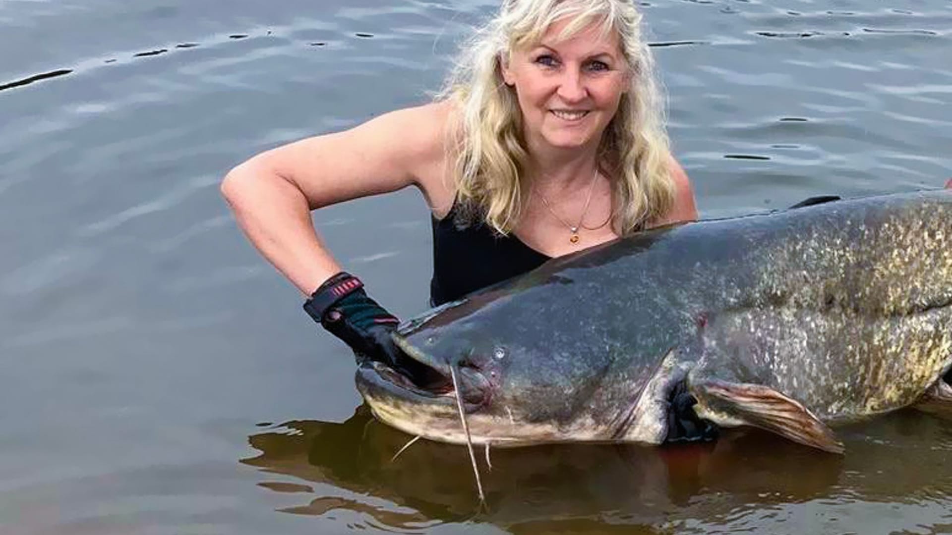 Dicker Fisch: 2,13 Meter großen Wels gefangen