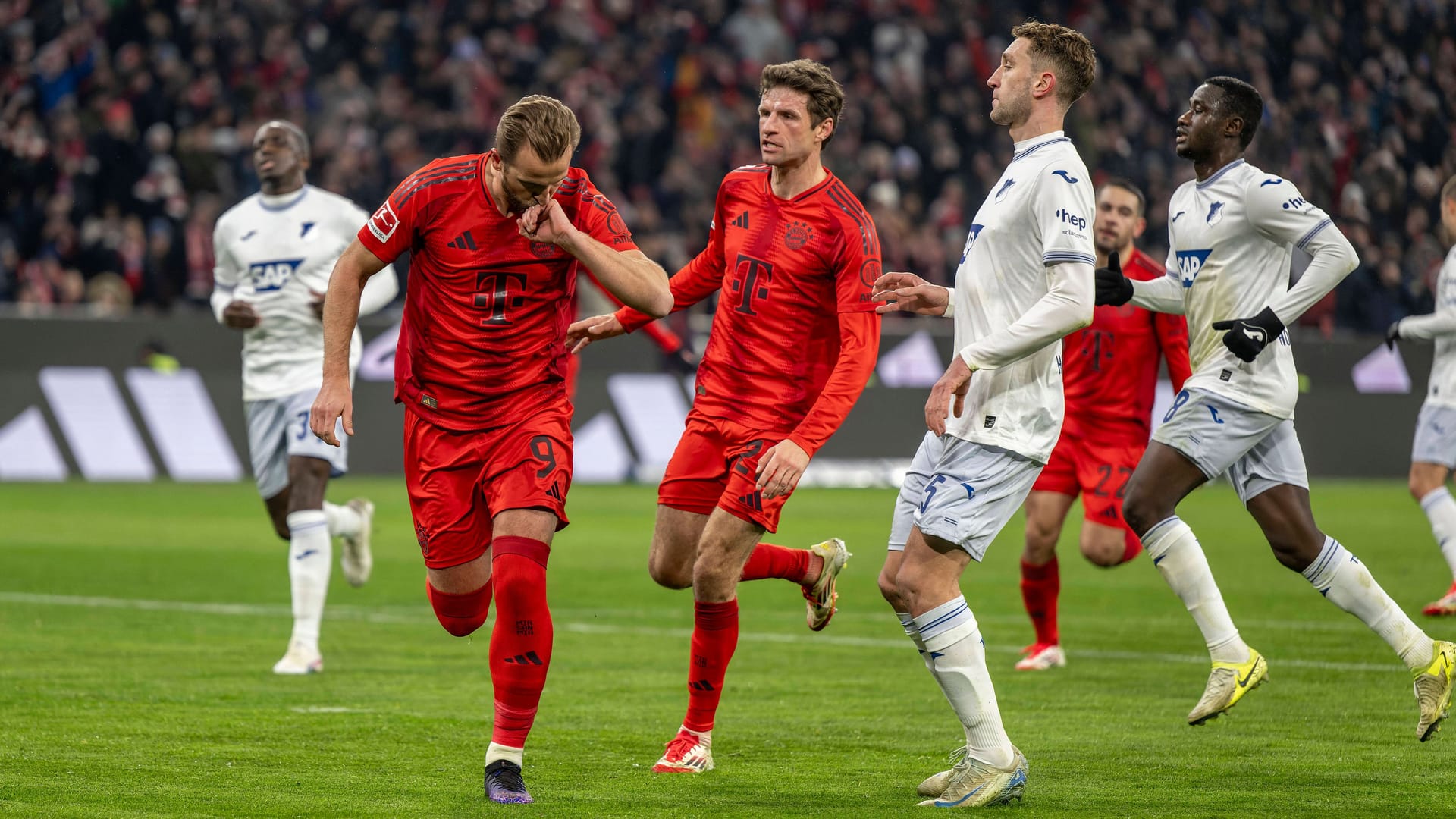 Übliche Szene in München: Harry Kane (l.) trifft (wie hier beim 5:0 gegen Hoffenheim), Bayern führt.