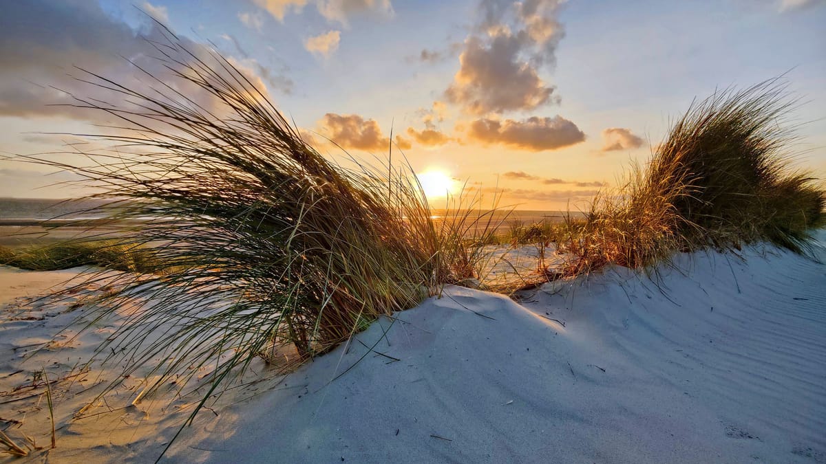 Borkum, das Allergiker-Paradies an der Nordsee Borkum, das Allergiker-Paradies an der Nordsee