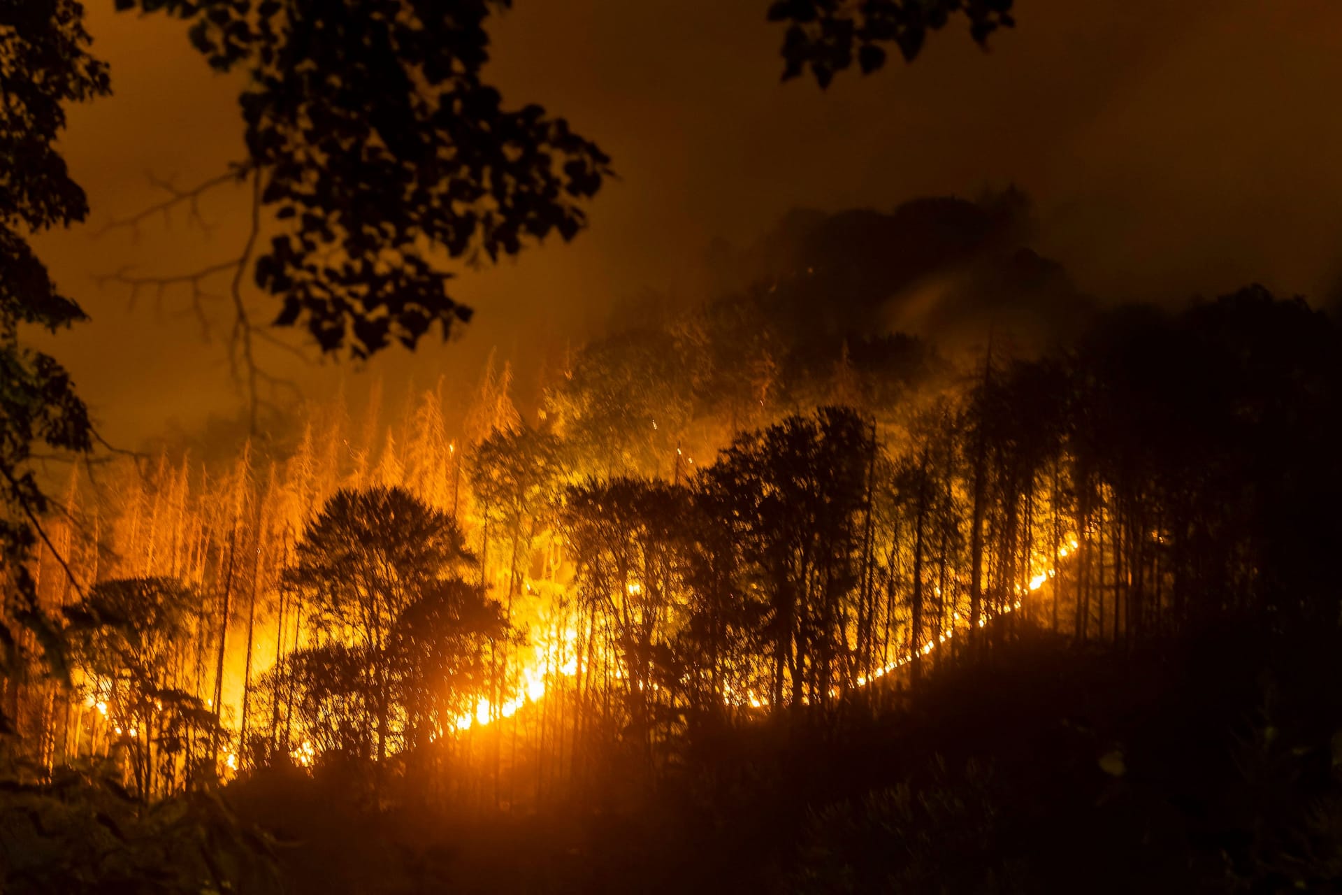 Ein Waldbrand in der Böhmischen Schweiz 2022 (Archivbild): Das Feuer soll durch weggeworfene Shisha-Kohle ausgelöst worden sein.