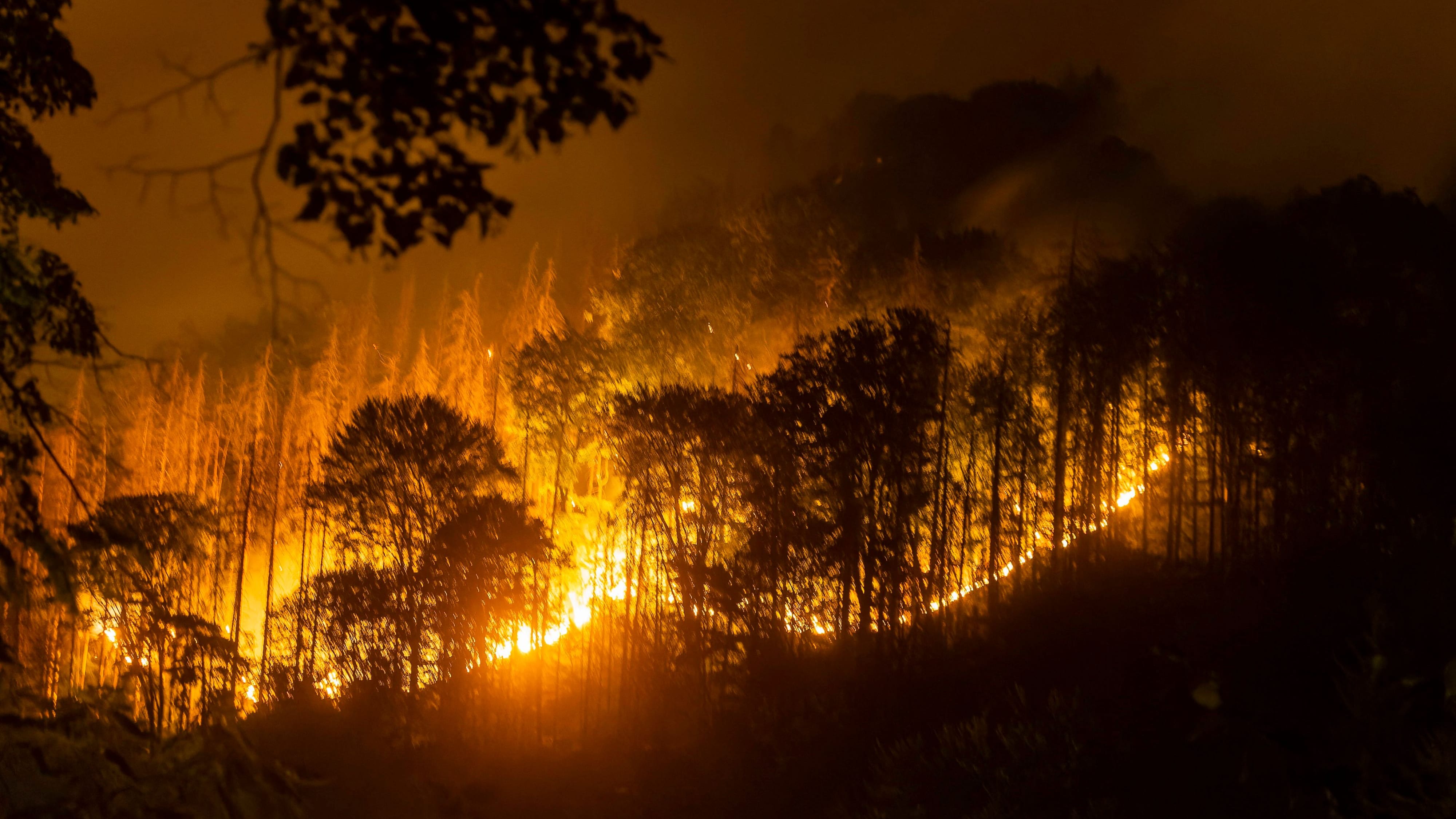 Ein Waldbrand in der Böhmischen Schweiz 2022 (Archivbild): Das Feuer soll durch weggeworfene Shisha-Kohle ausgelöst worden sein.