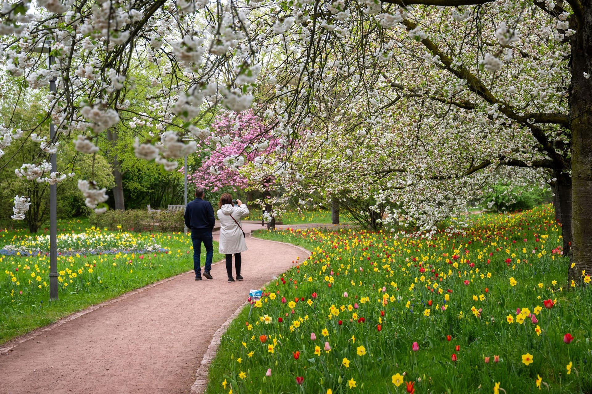 20. Tulpenausstellung "Tulipan" im Britzer Garten