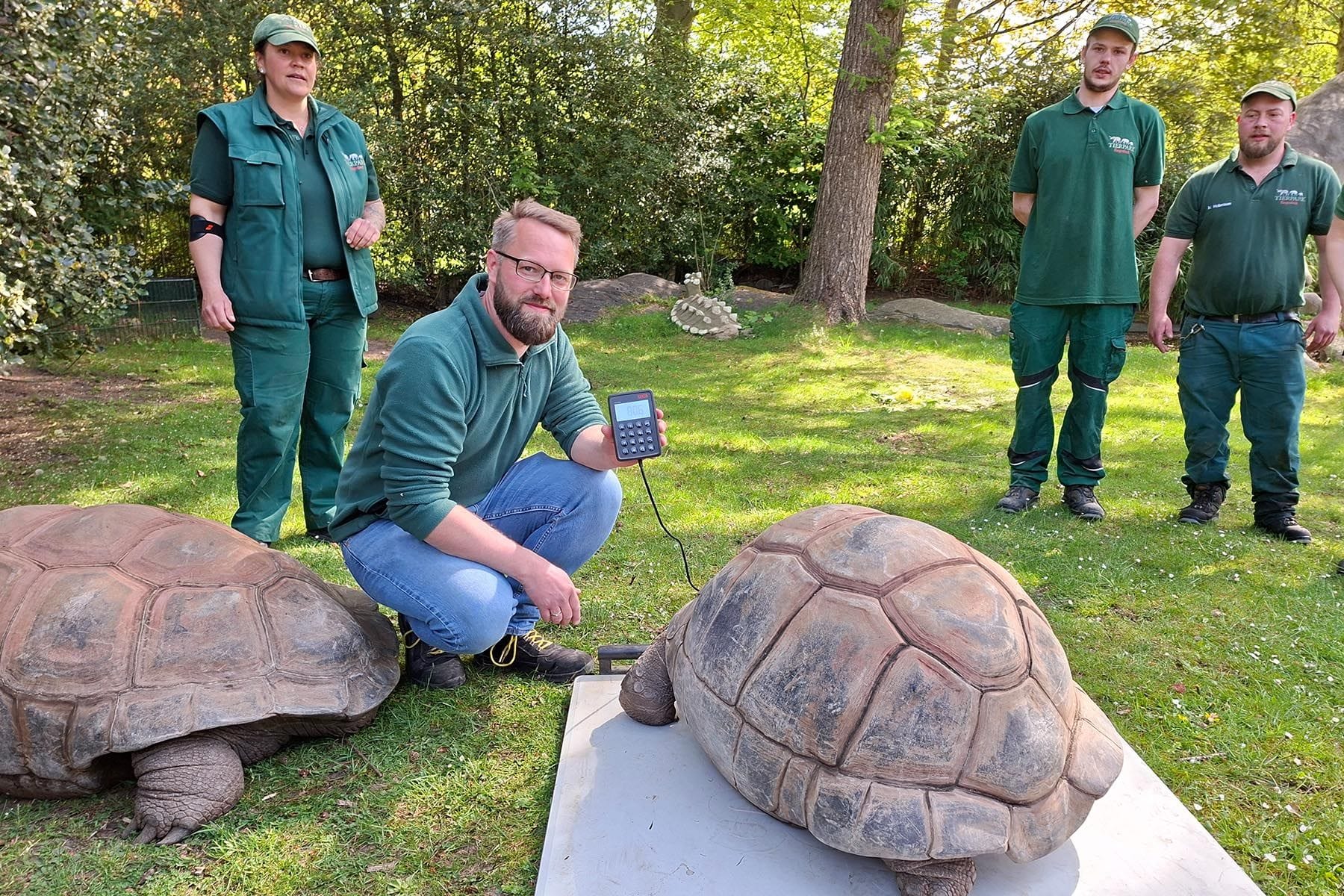 Gesundheitscheck bei den Riesenschildkröten im Tierpark Hagenbeck