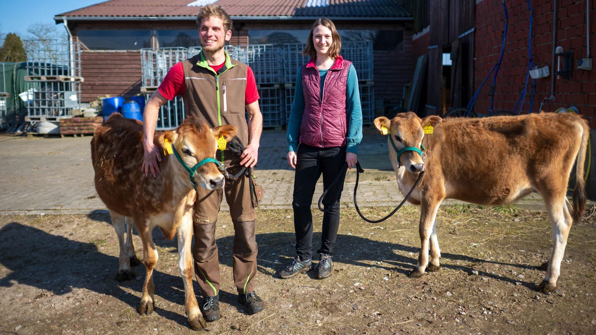 Axel Duensing und seine Frau Britta bringen die Kälber Helga und Marianne auf die Weide. Sie arbeitet tagsüber als Lehrerin, am Abend hilft sie auf dem Hof aus.