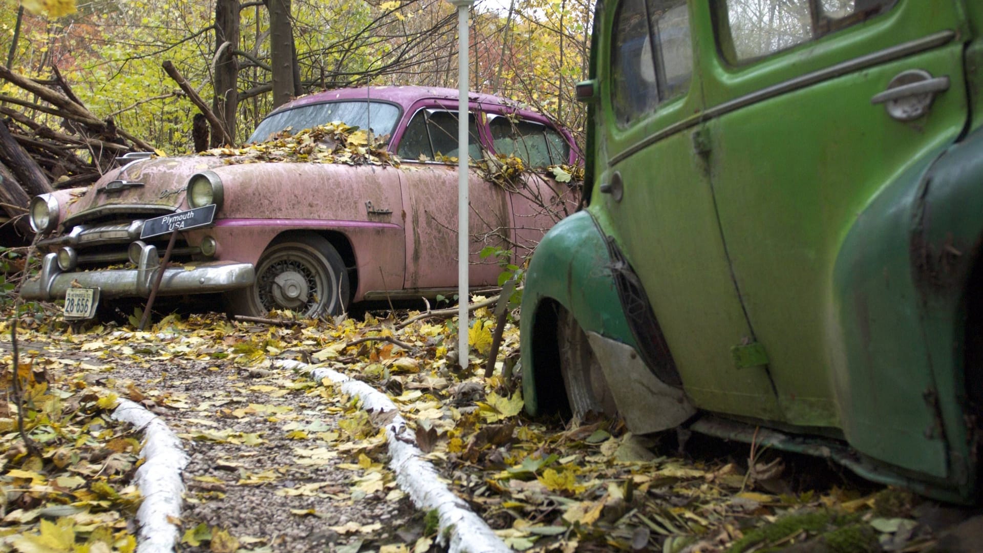 Oldtimer-Wrack im Autoskulpturenpark im Neandertal (Archivbild): Weitere 50 Oldtimer gibt es hier zu sehen.
