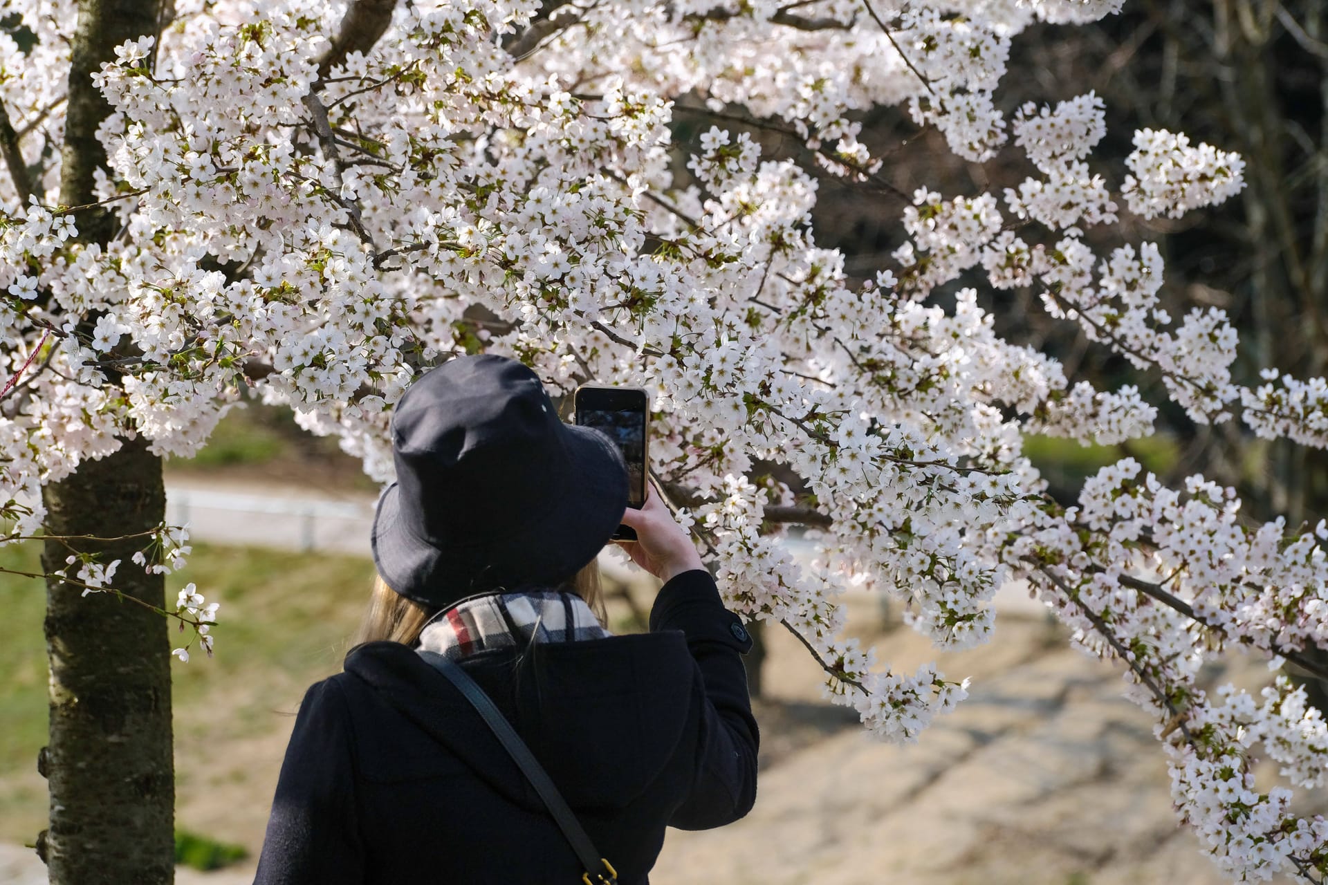 imago images 153199565