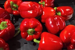 Paprikapreise schnellen in die Höhe