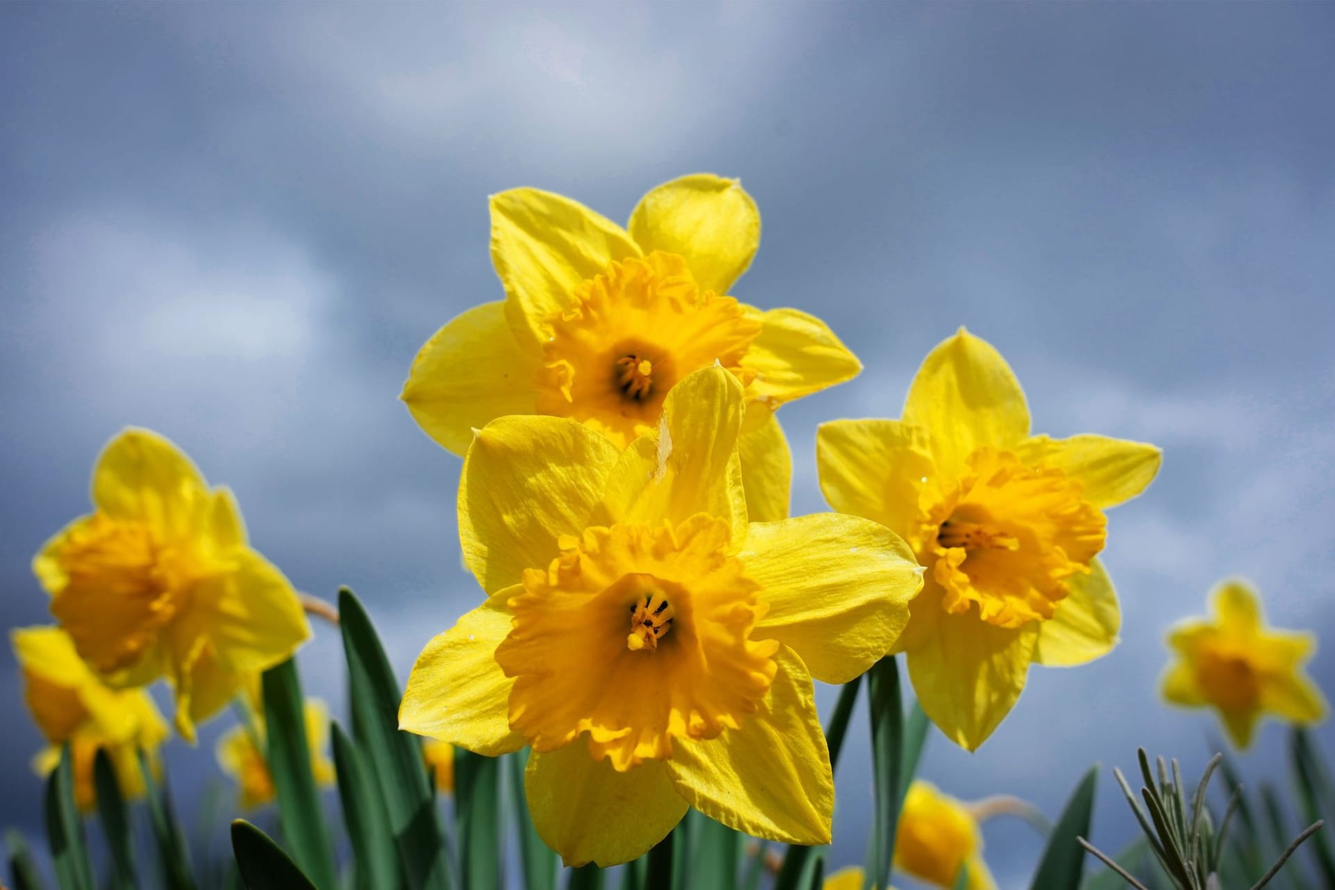 Aprilwetter