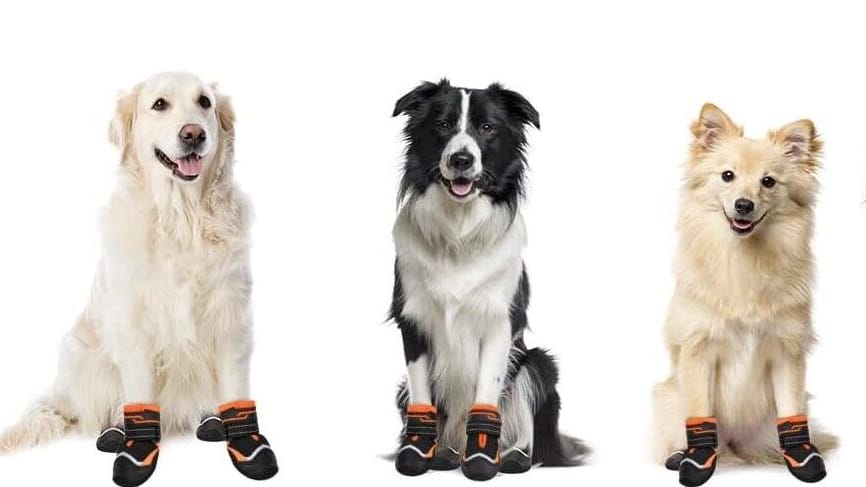 Die Hundeschuhe von Slowton schützen die Pfoten Ihres Vierbeiners.