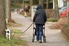 Welche Rentner sind von der Hundesteuer befreit? Die Voraussetzungen