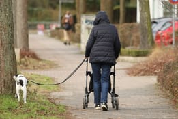 Dann sind Rentner von der Hundesteuer befreit