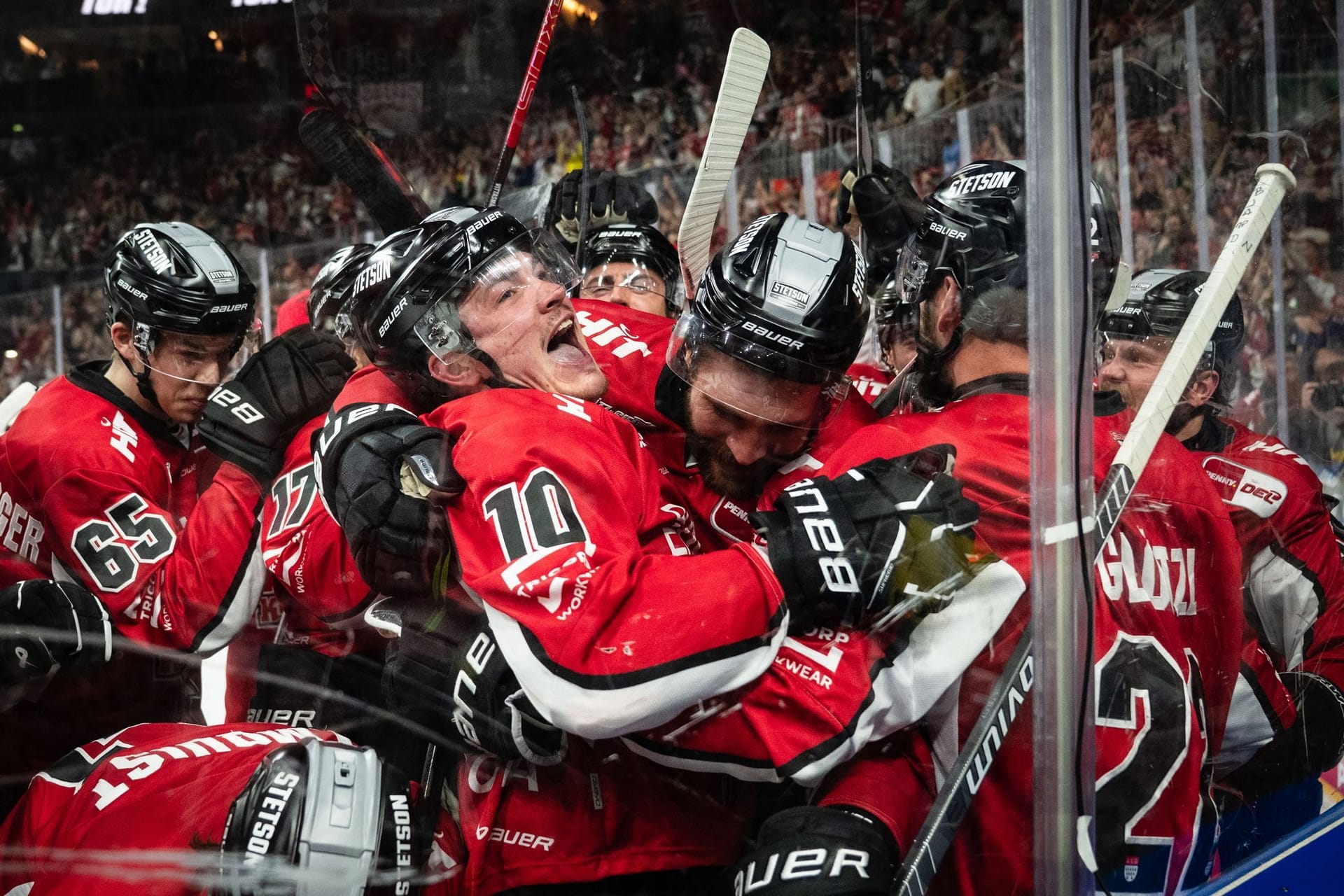 Kölner Haie - ERC Ingolstadt