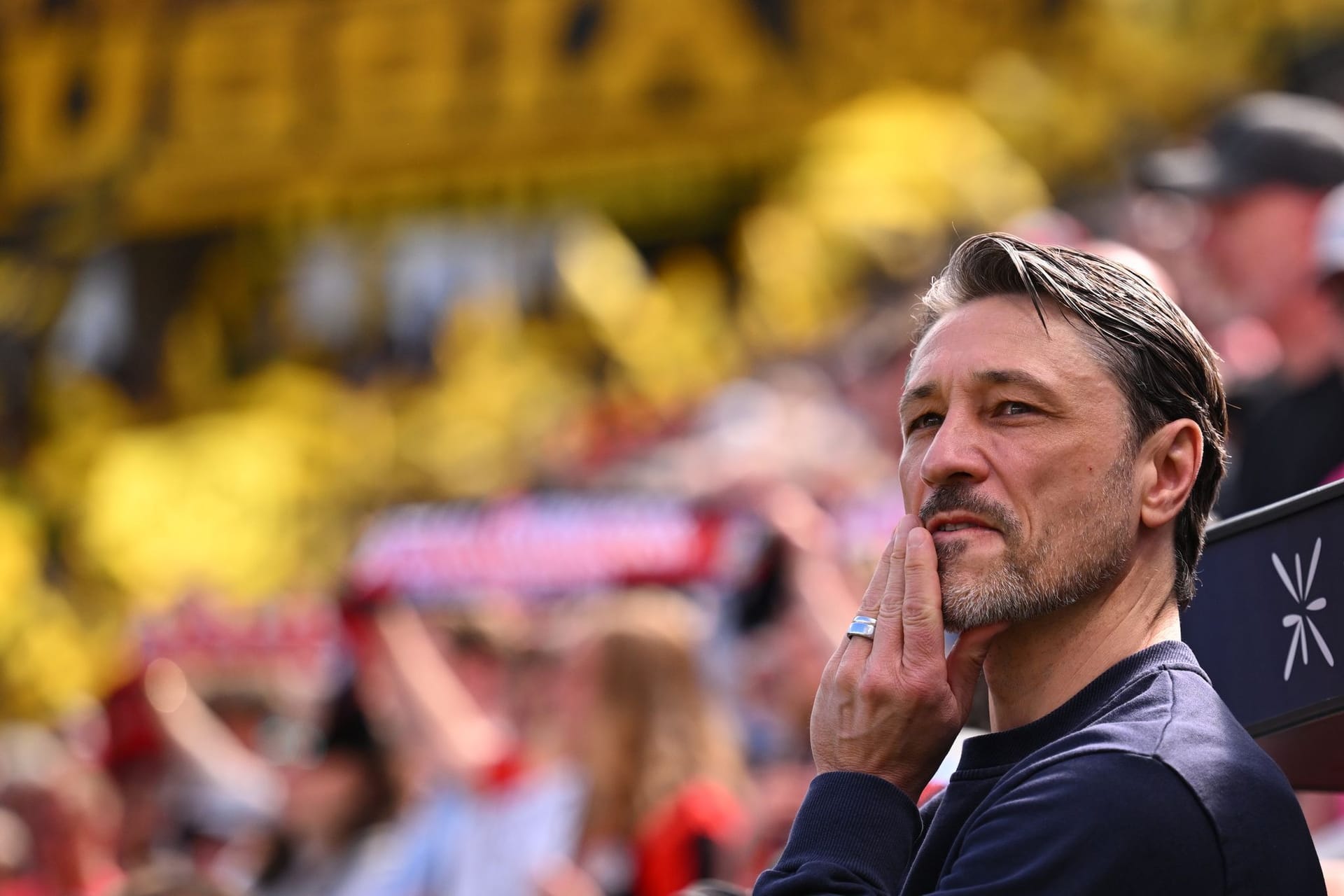 Bayer Leverkusen - Borussia Dortmund