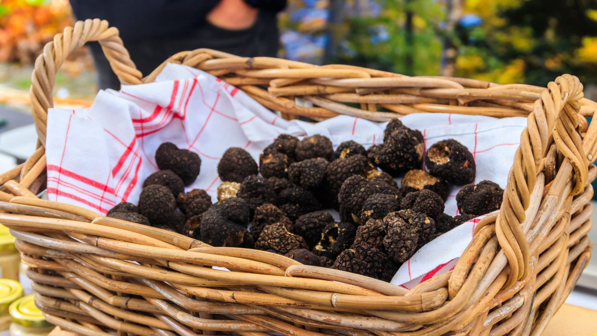 Expensive black truffles gourmet mushrooms in basket Expensive black truffles gourmet mushrooms in basket