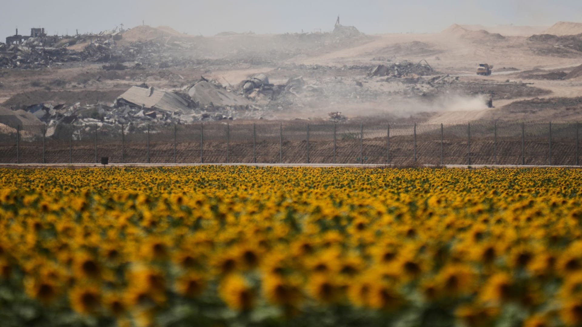 Vorne Sonnenblumenfelder, hinten Trümmer: Grenze zwischen Israel und dem Gazastreifen.
