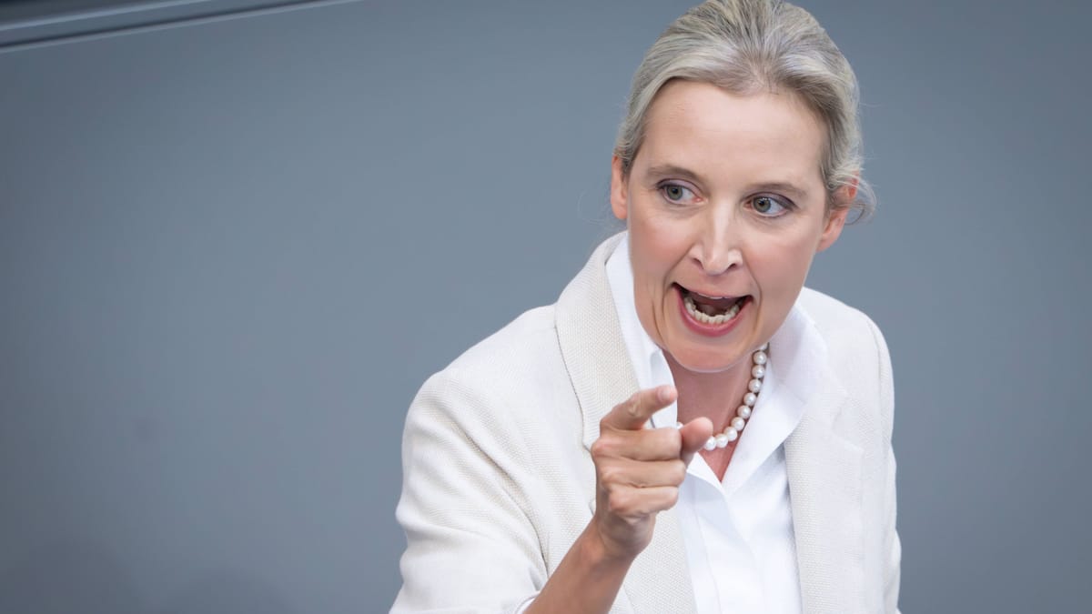 AfD gegen Verfassungsschutz: Ein Selbstläufer ist das nicht