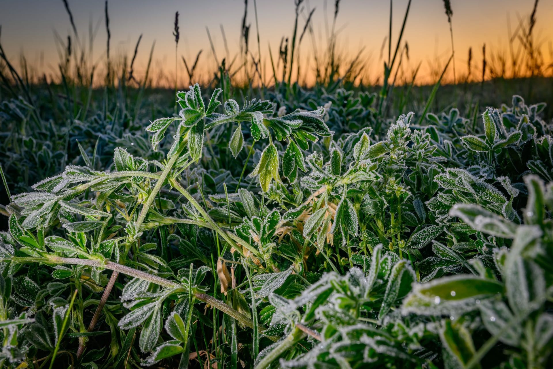 Morgenstimmung in Brandenburg