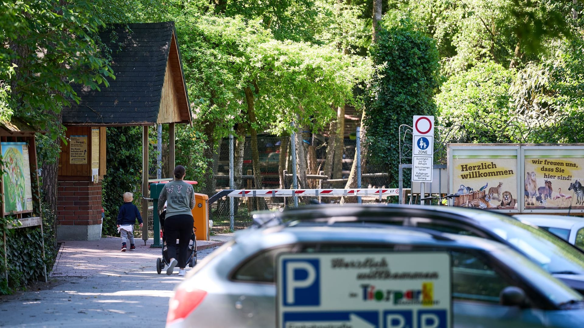 Tiger verletzt Mitarbeiterin in Tierpark Tiger verletzt Mitarbeiterin in Tierpark