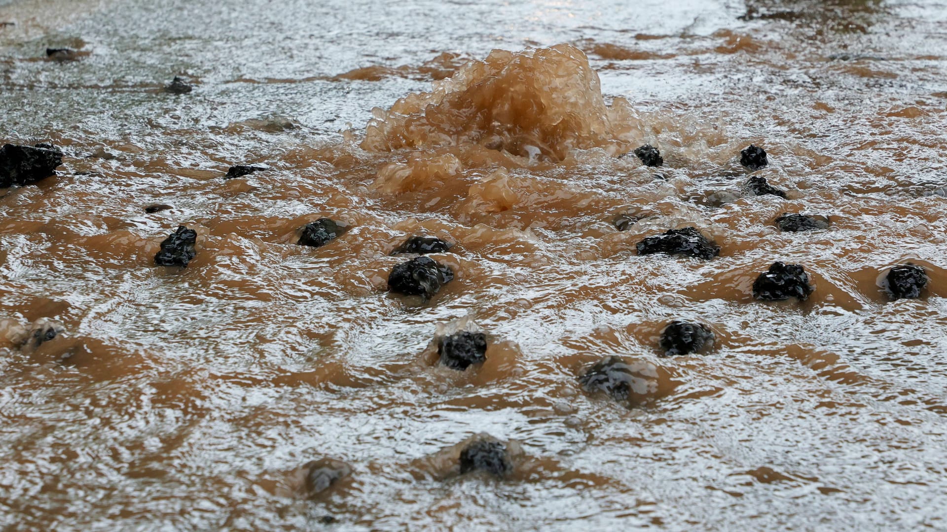 Wasser sprudelt aus einer Straße (Symbolbild): In EImsbüttel ist am Sonntagmorgen eine Hauptleitung gebrochen.