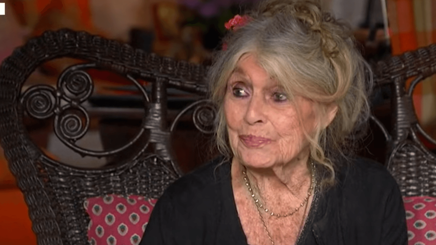 Brigitte Bardot: Sie zeigte sich erstmals nach elf Jahren wieder im TV.