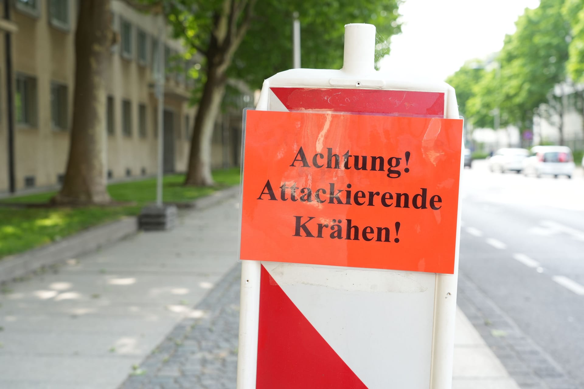 Orange Warnschilder am Landtag mahnen zur Vorsicht: In diesem Jahr gab es bereits einigen Attacken.