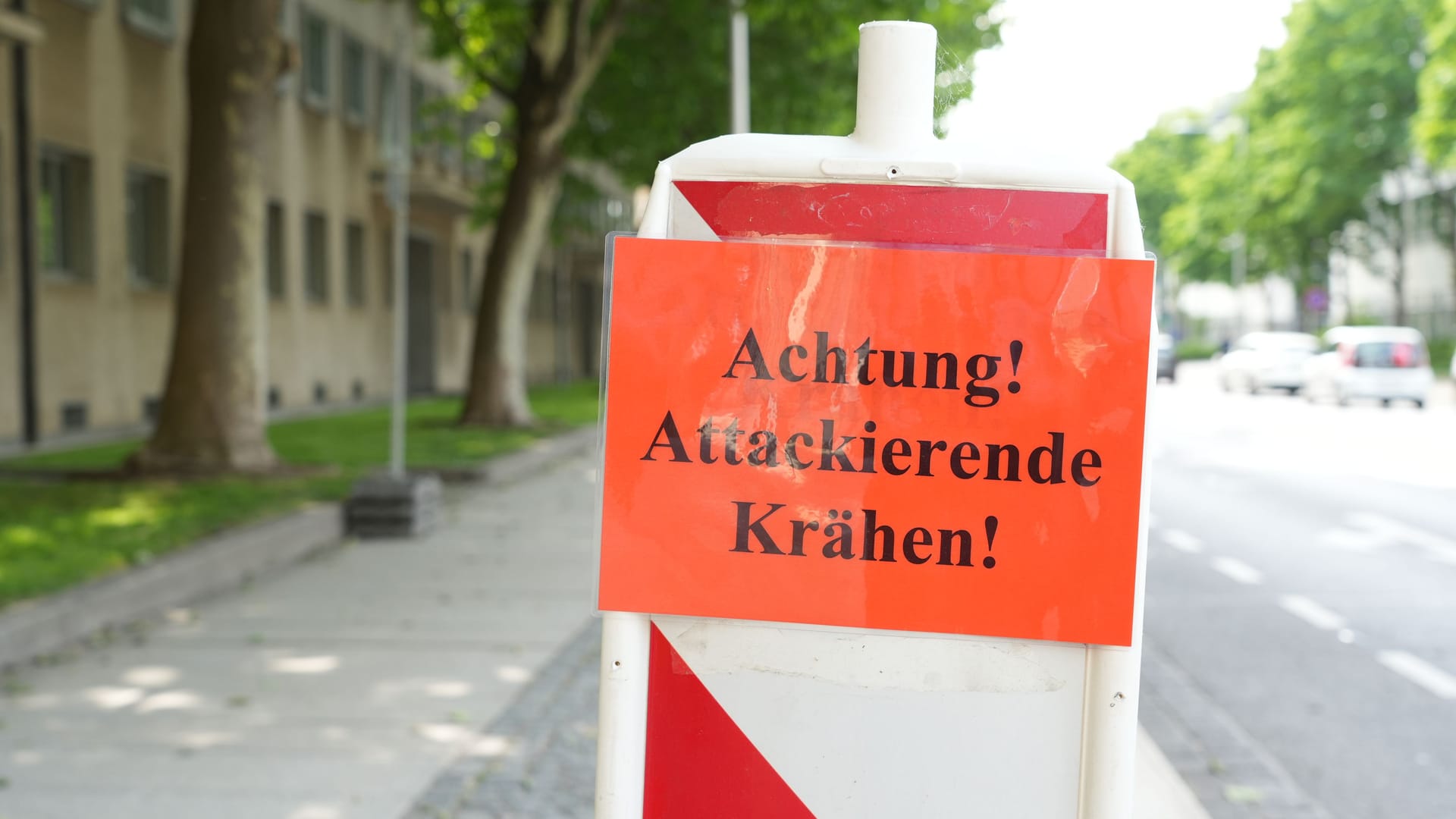 Orange Warnschilder am Landtag mahnen zur Vorsicht: In diesem Jahr gab es bereits einigen Attacken.
