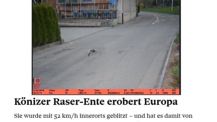 Am 13. April 2018 flog diese Ente ebenfalls mit 52 km/h durch die Radarfalle.