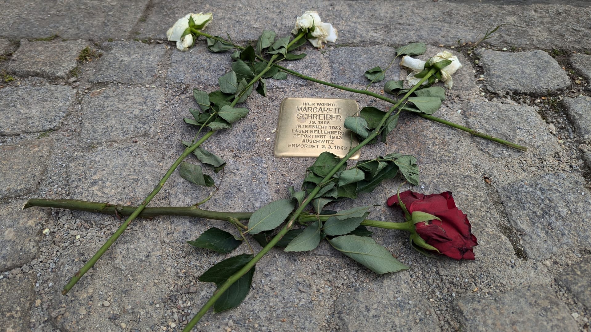 Der gestohlene Stolperstein für Margarete Schreiber in der Freiberger Straße wurde am Dienstagnachmittag ersetzt.