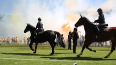 Polizeipferde bei Platzsturm im Einsatz