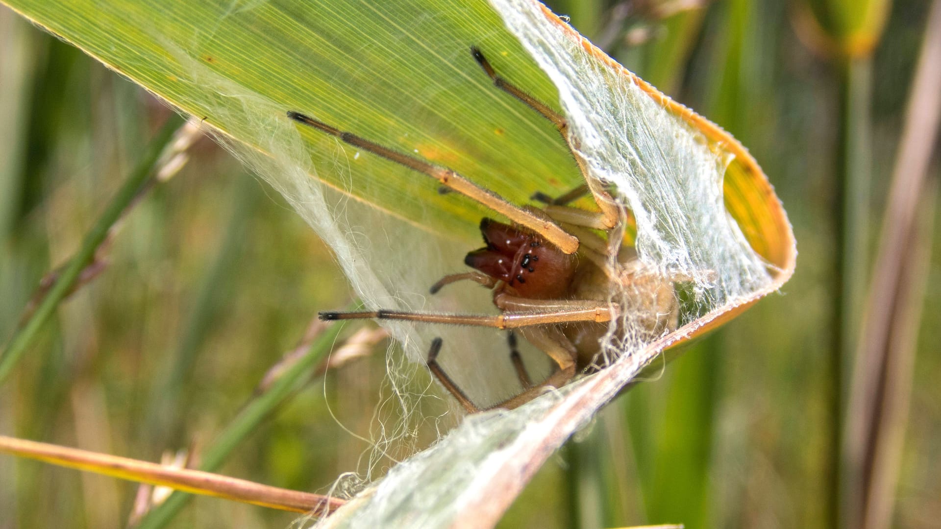imago images 168142457