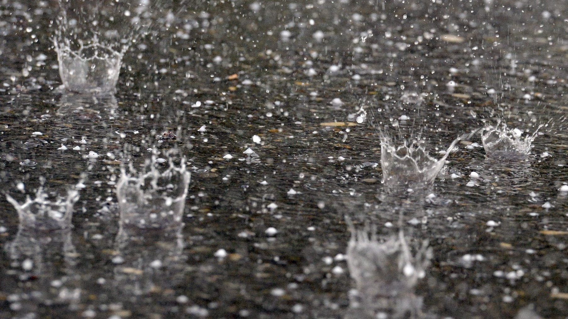 Gewitter hören und riechen