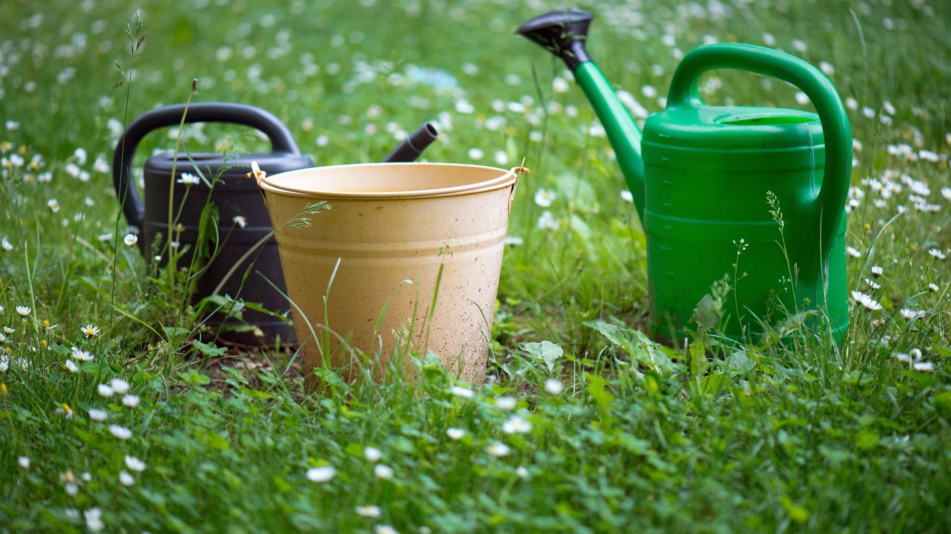 Garten - Gartenarbeit Garten - Gartenarbeit