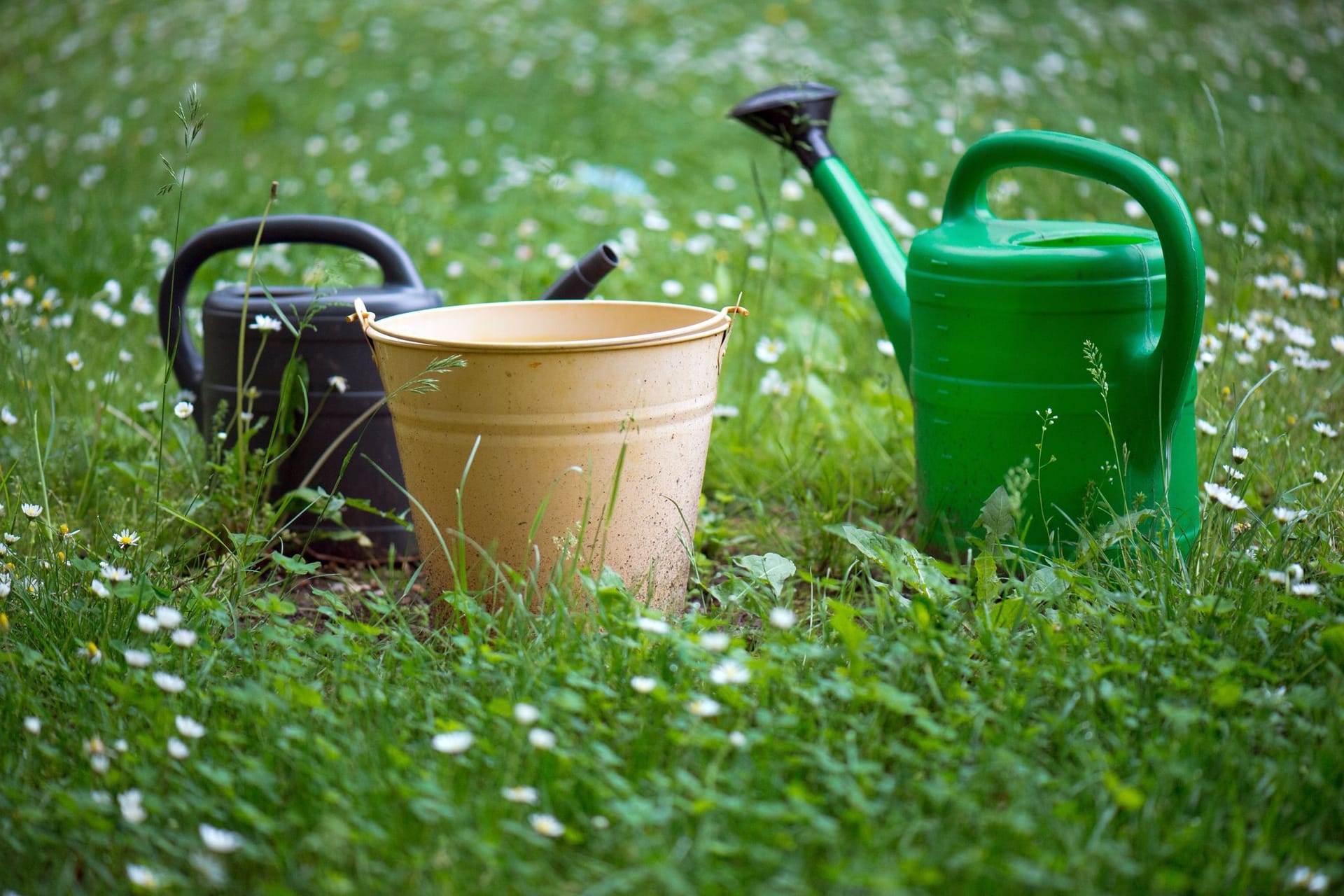 Garten - Gartenarbeit