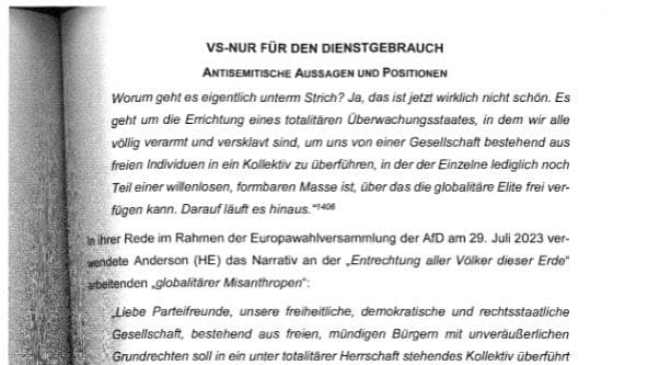 Auszug aus dem AfD-Gutachten.