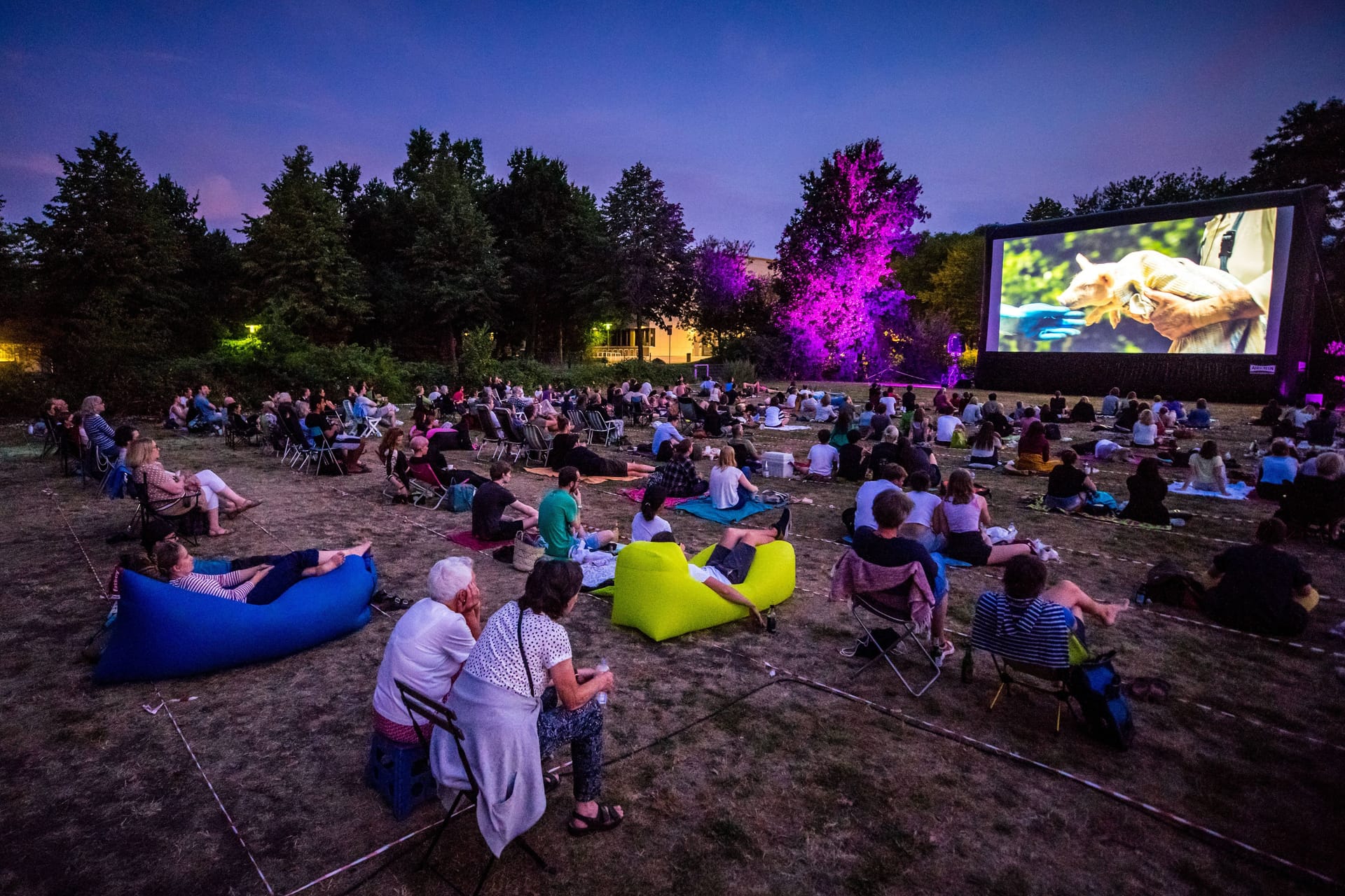 Menschen schauen auf eine riesige Leinwand im Park (Archivbild) : Das Filmraum Open Air Kino in Eimsbüttel eröffnet auch in diesem Sommer.