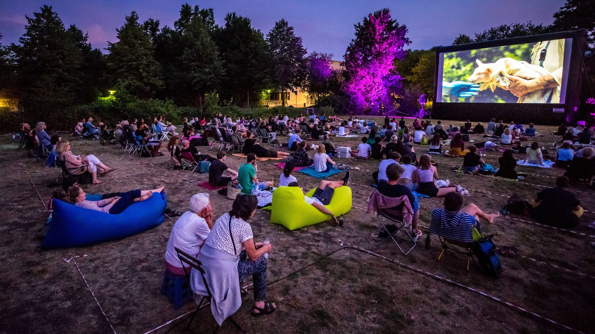 Menschen schauen auf eine riesige Leinwand im Park (Archivbild) : Das Filmraum Open Air Kino in Eimsbüttel eröffnet auch in diesem Sommer.