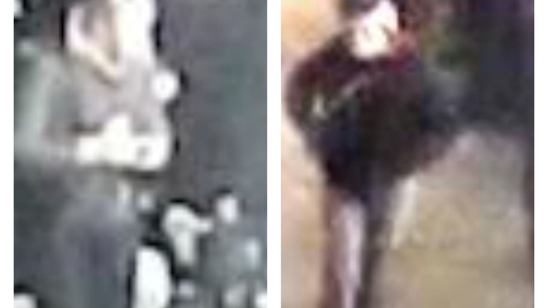 Mit diesen unscharfen Bildern und einem Video sucht die Polizei nach einem Tatverdächtigen. Mit diesen unscharfen Bildern und einem Video sucht die Polizei nach einem Tatverdächtigen.