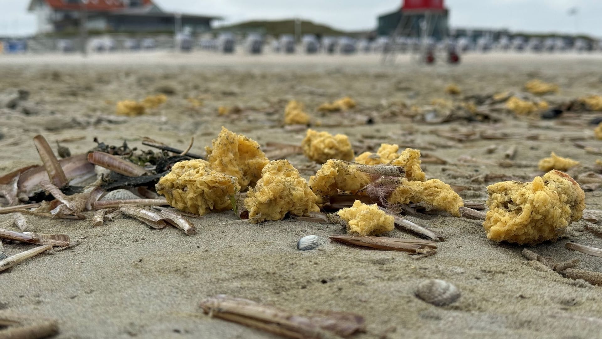 Paraffinklumpen auf Norderney: Die Behörden warnen davor, das Material anzufassen.