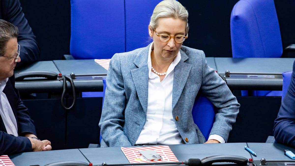 AfD rechtsextrem eingestuft: Droht jetzt ein Parteiverbot?