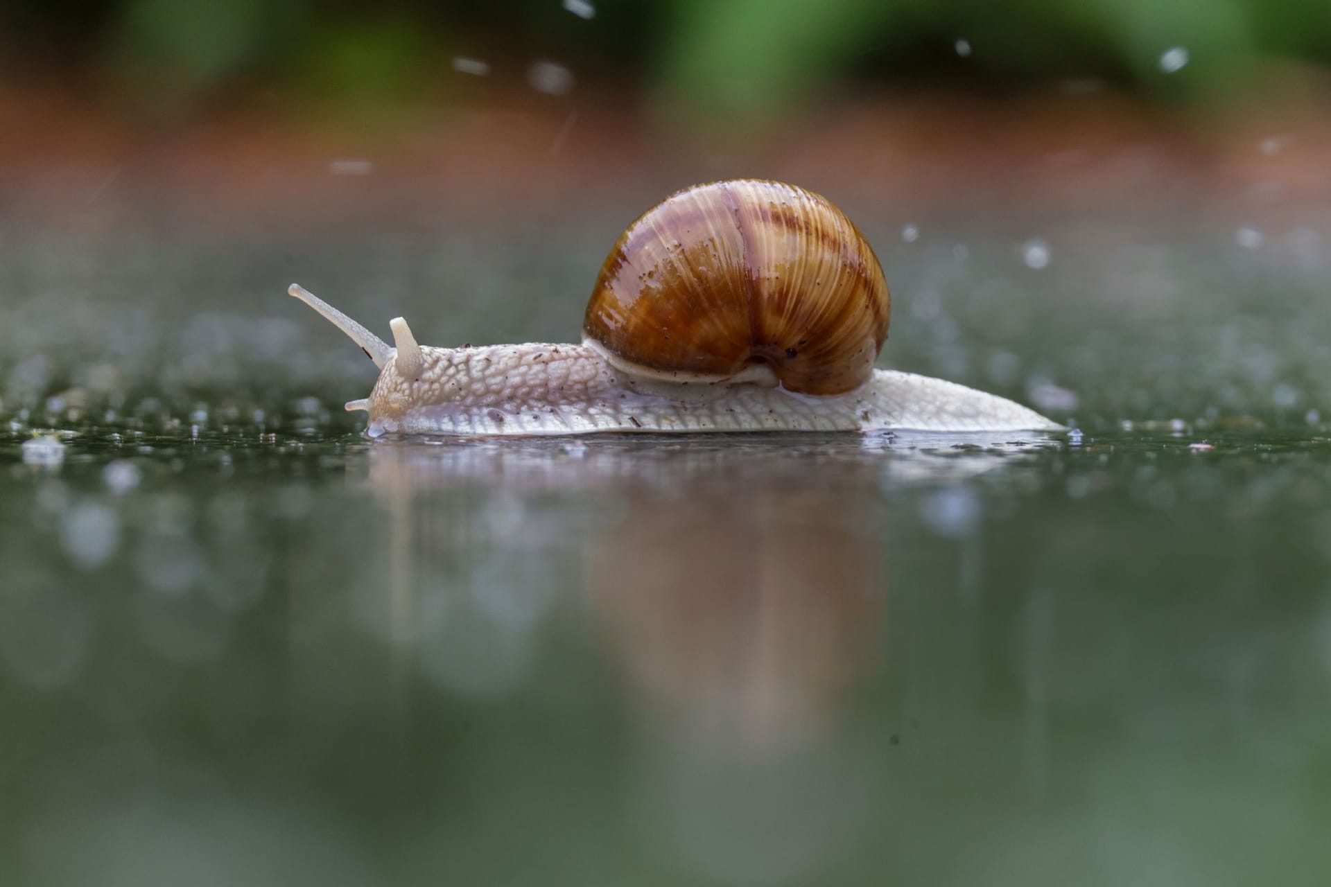 Wetter in Baden-Württemberg