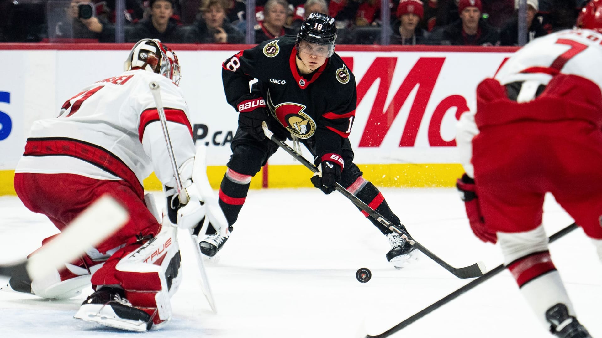 NHL-Star Tim Stützle
