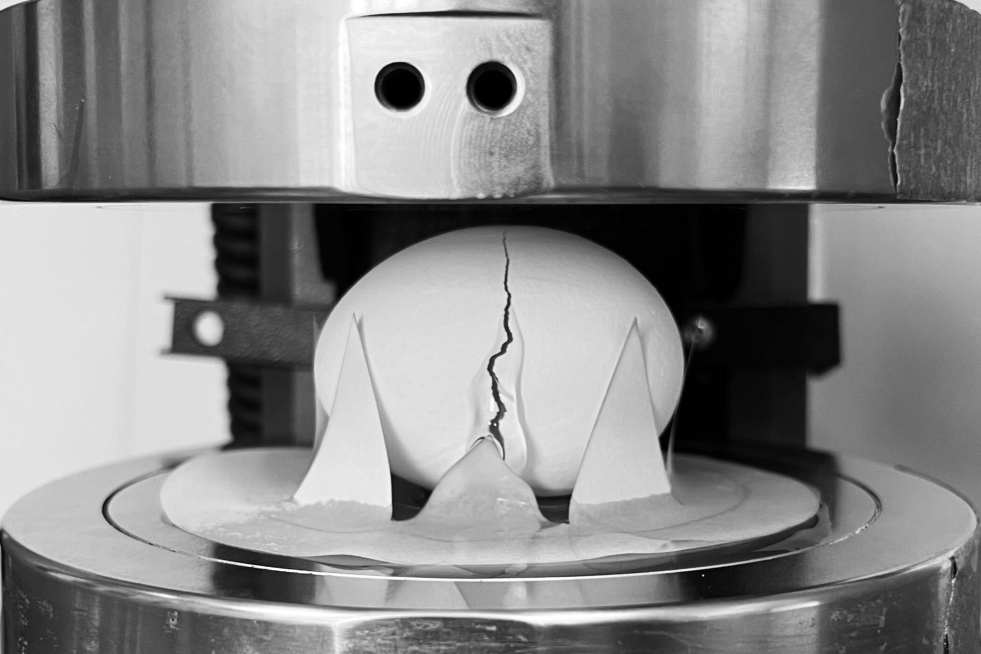 Forscher haben Zerbrechlichkeit von Eiern untersucht