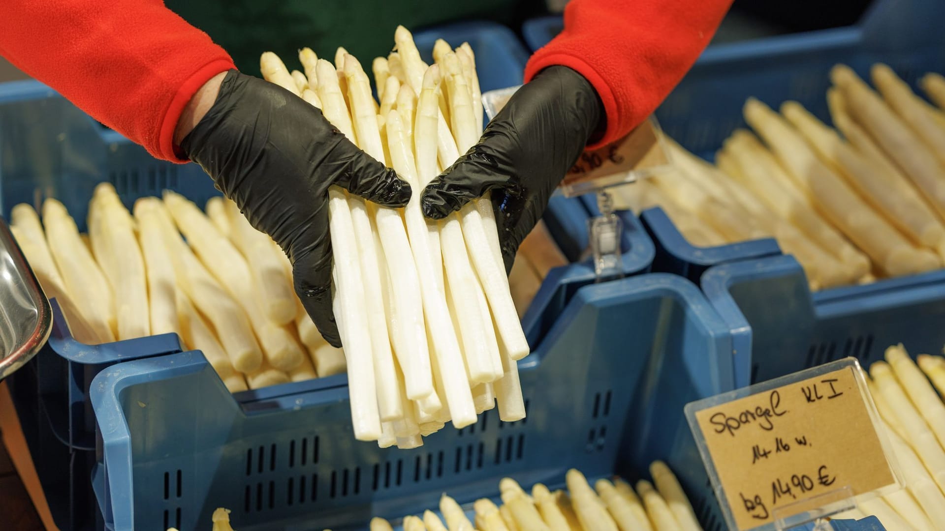 Frau hält Bund weißen Spargel in den Händen (Archivbild): Bislang lagen die Preise über dem Vorjahreswert.