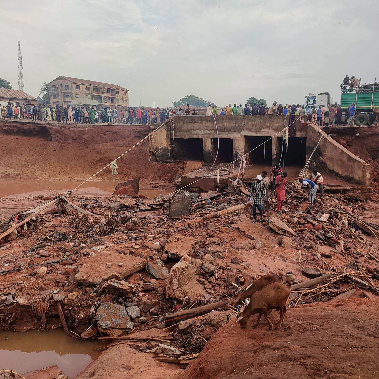 Überschwemmungen in Nigeria