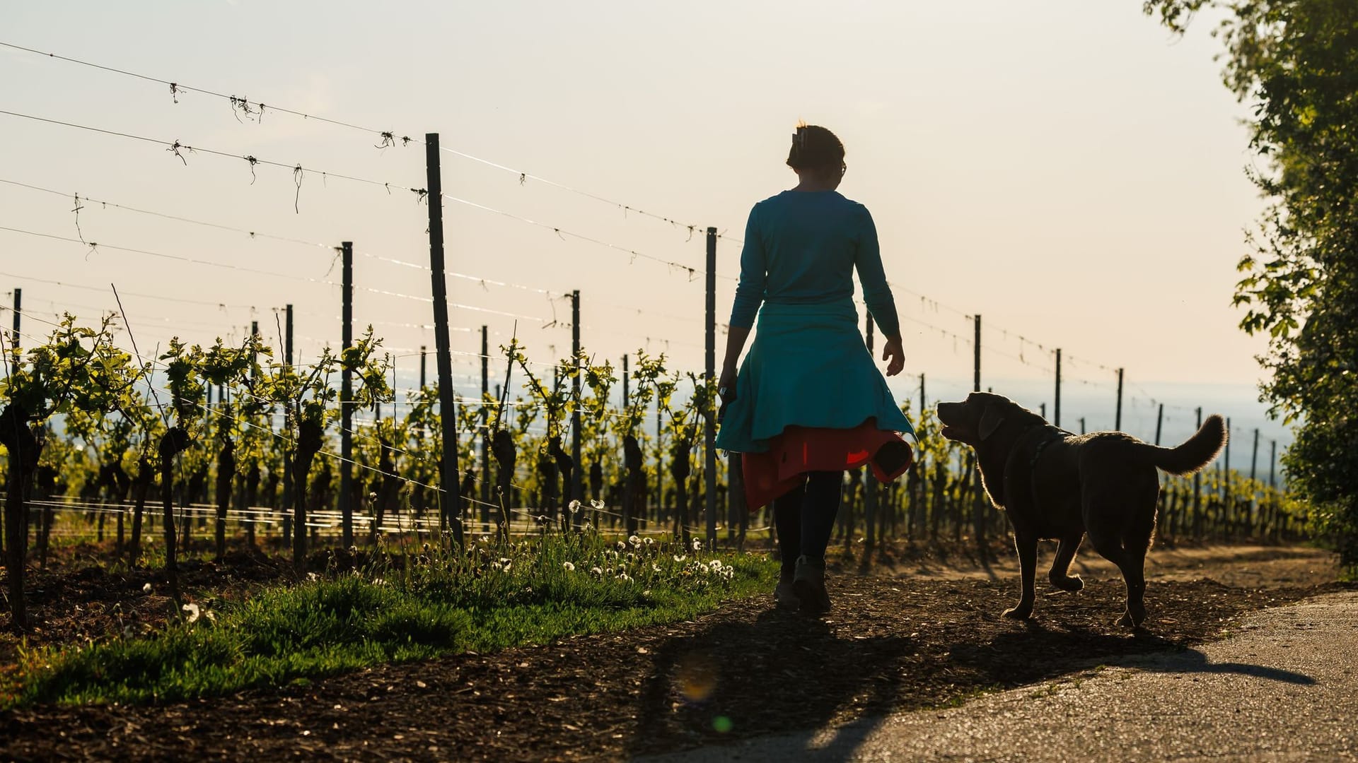 Morgens in Rheinland-Pfalz